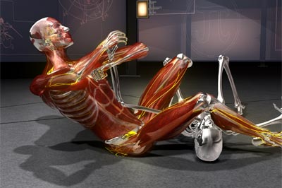 X-Ray of an armbar